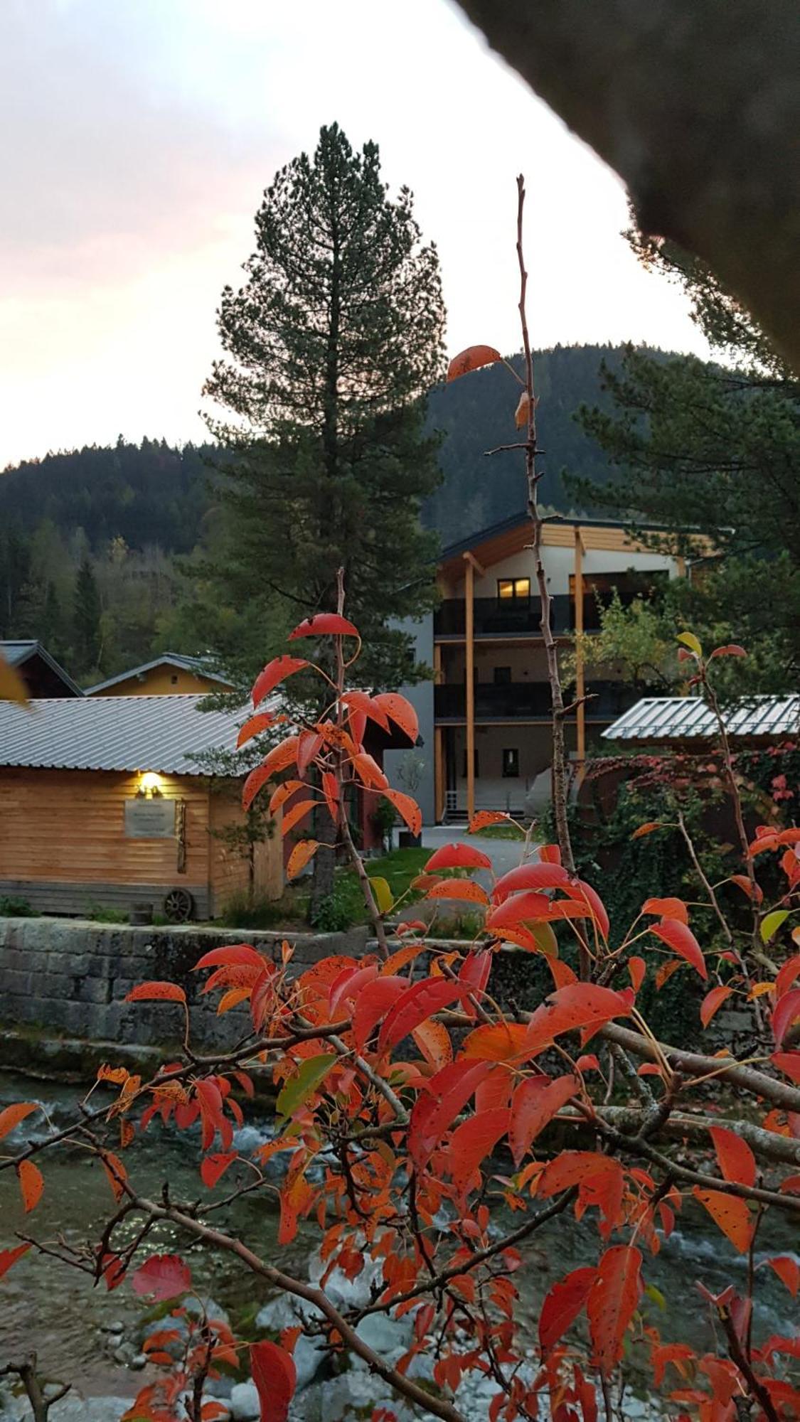 Jagd Trifft Moderne & Boutique Jardin Ferienhaus Annaberg im Lammertal Exterior foto
