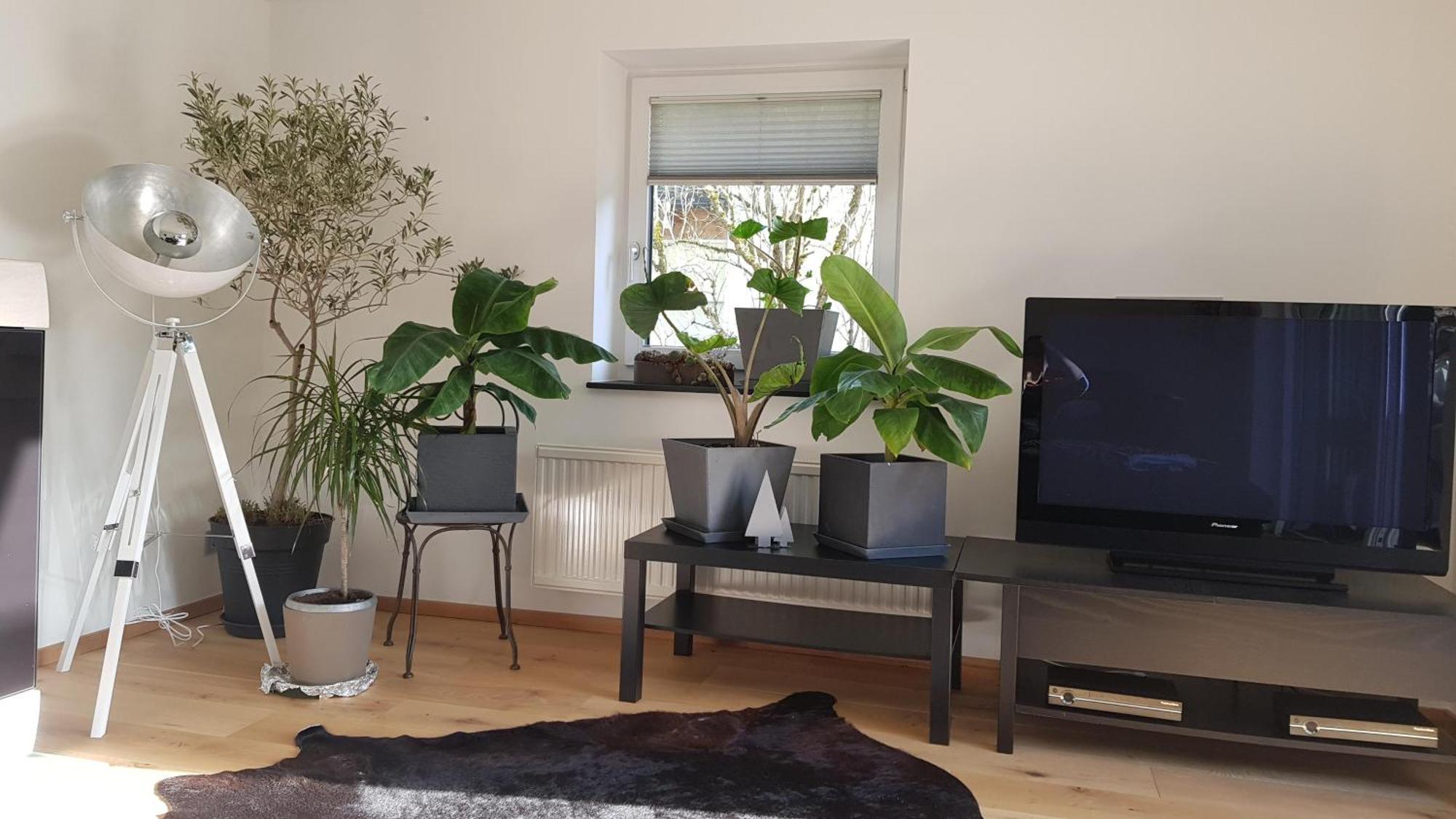 Jagd Trifft Moderne & Boutique Jardin Ferienhaus Annaberg im Lammertal Exterior foto