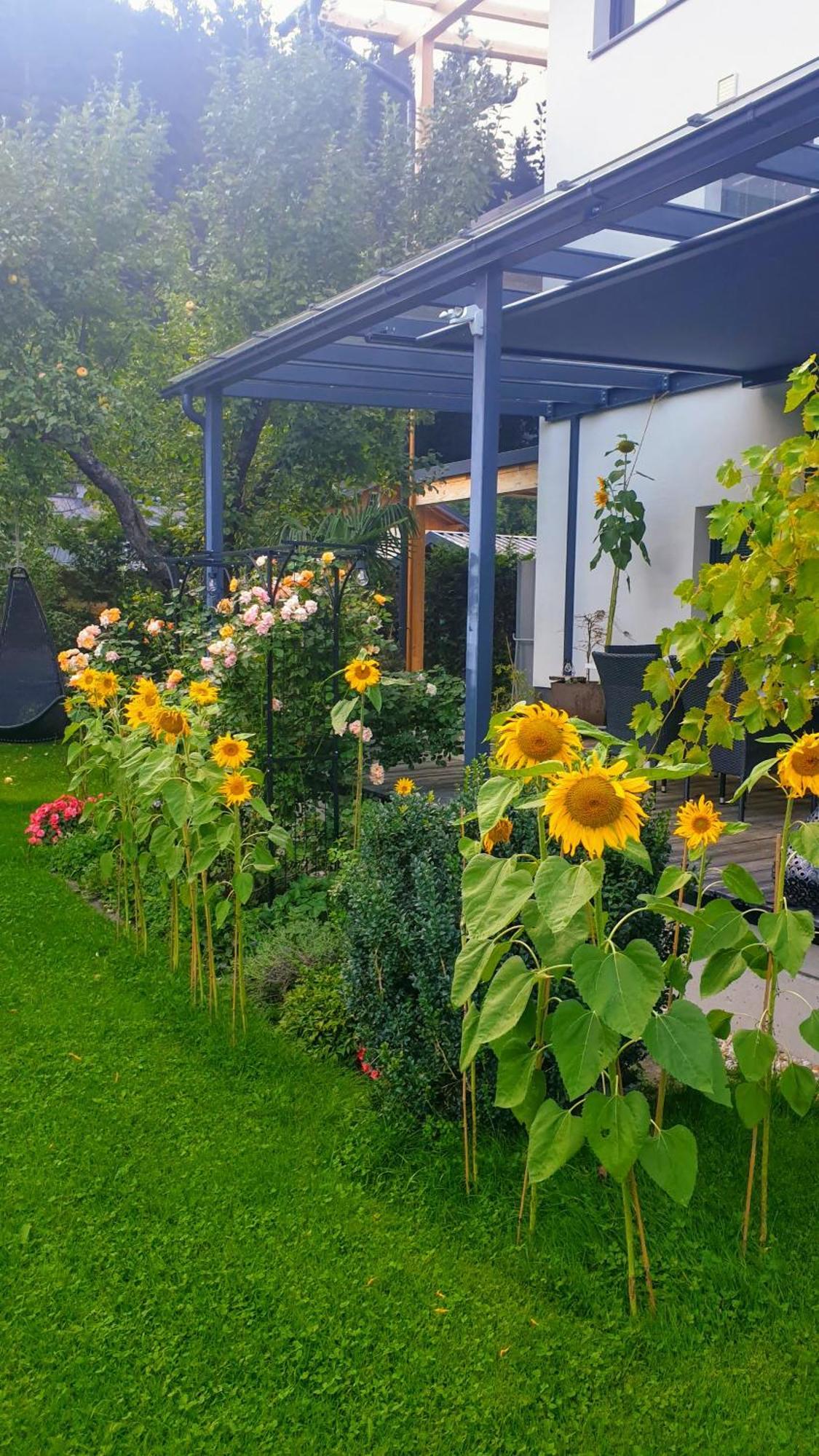 Jagd Trifft Moderne & Boutique Jardin Ferienhaus Annaberg im Lammertal Exterior foto